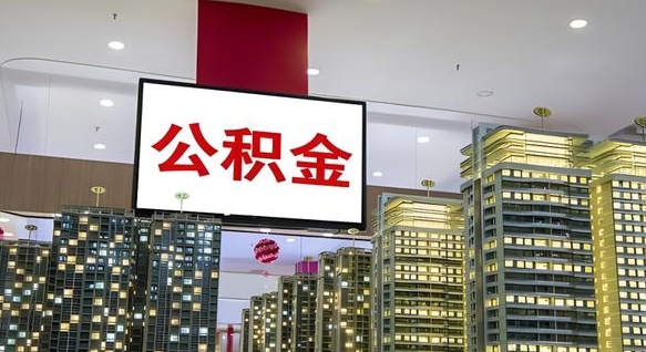 公积金导出明细-菏泽公积金代办平台